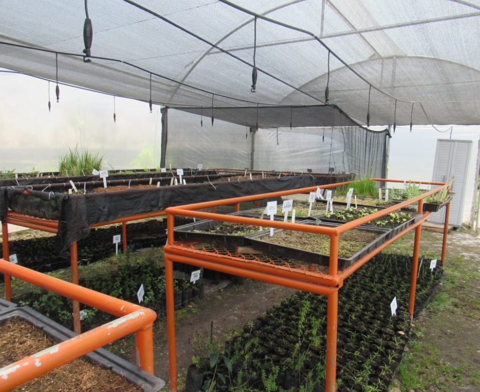 acciones-agua-por-el-futuro-9