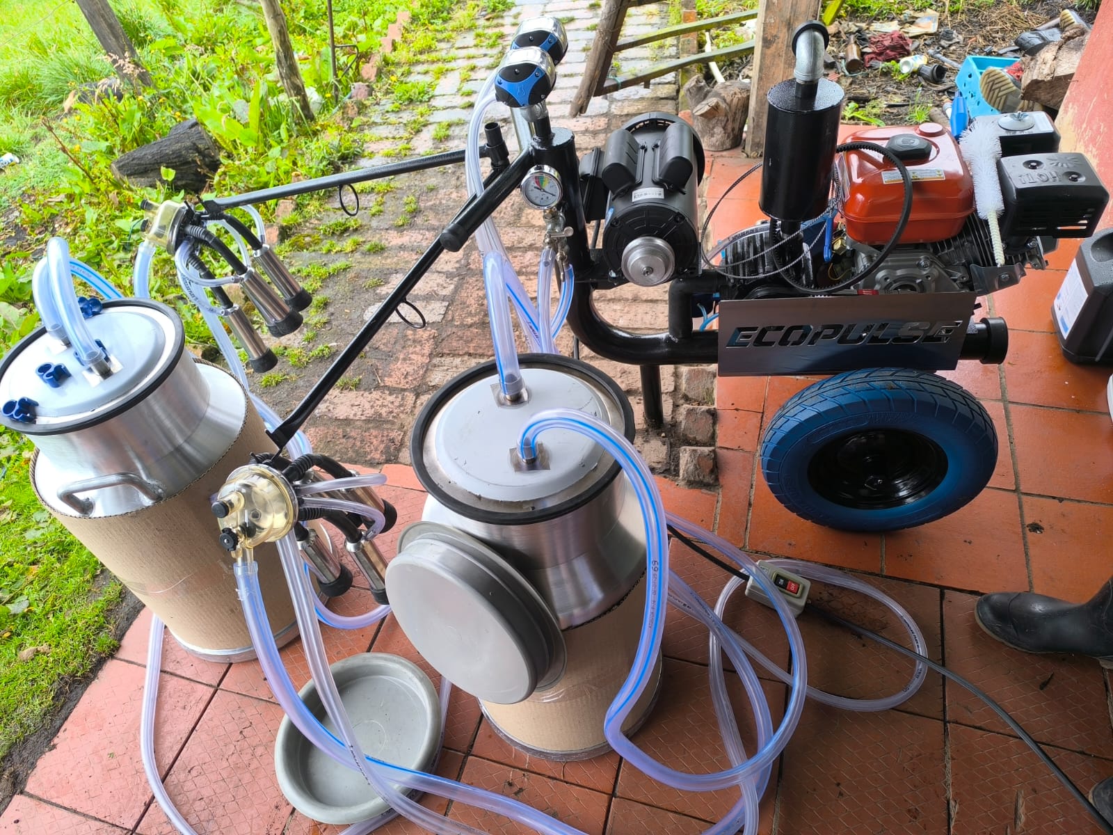 WhatsApp Image 2025-03-20 at 1.31.58 PM